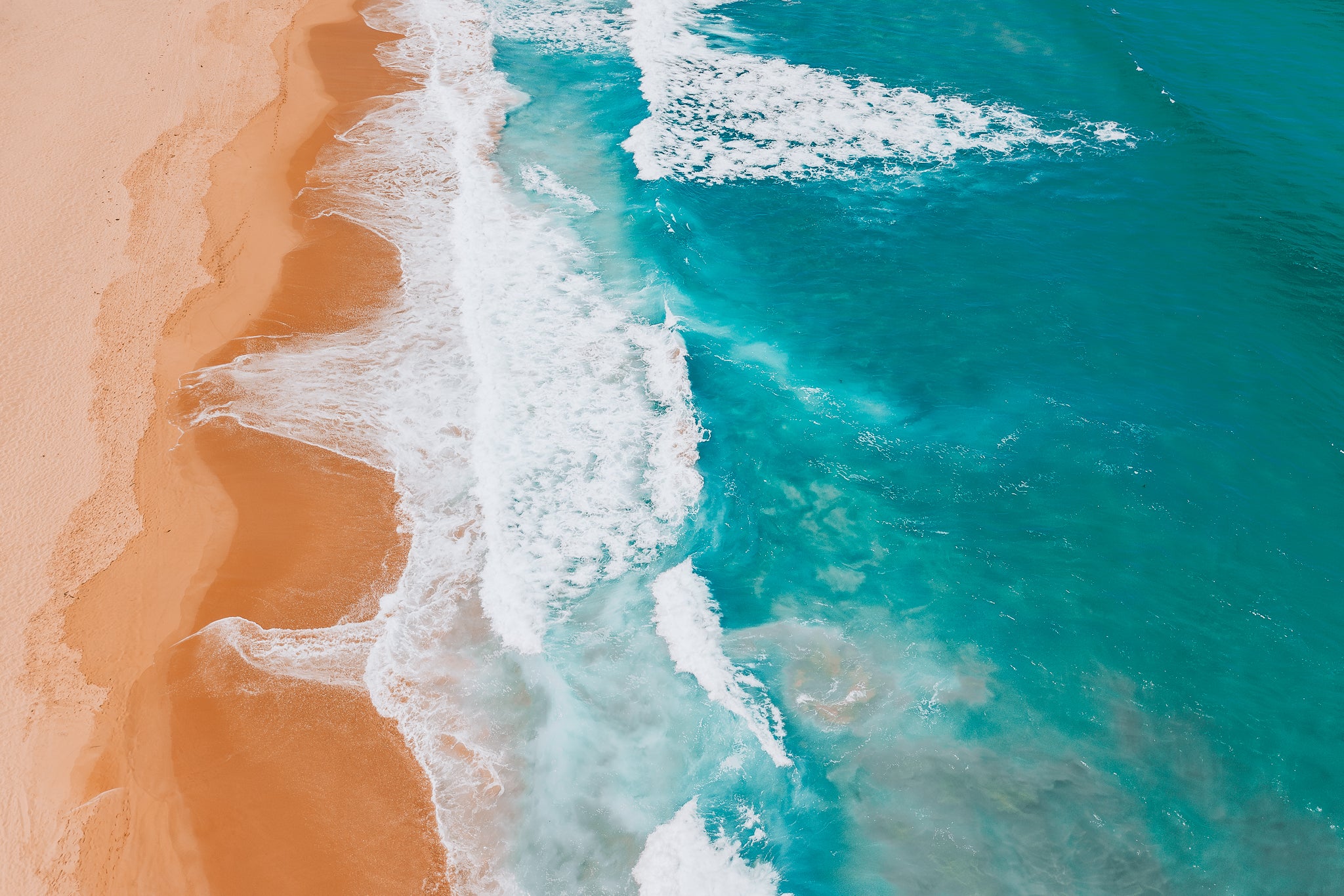 Shoreline Symphony