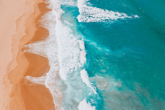 Shoreline Symphony