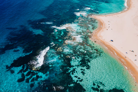 The Reef