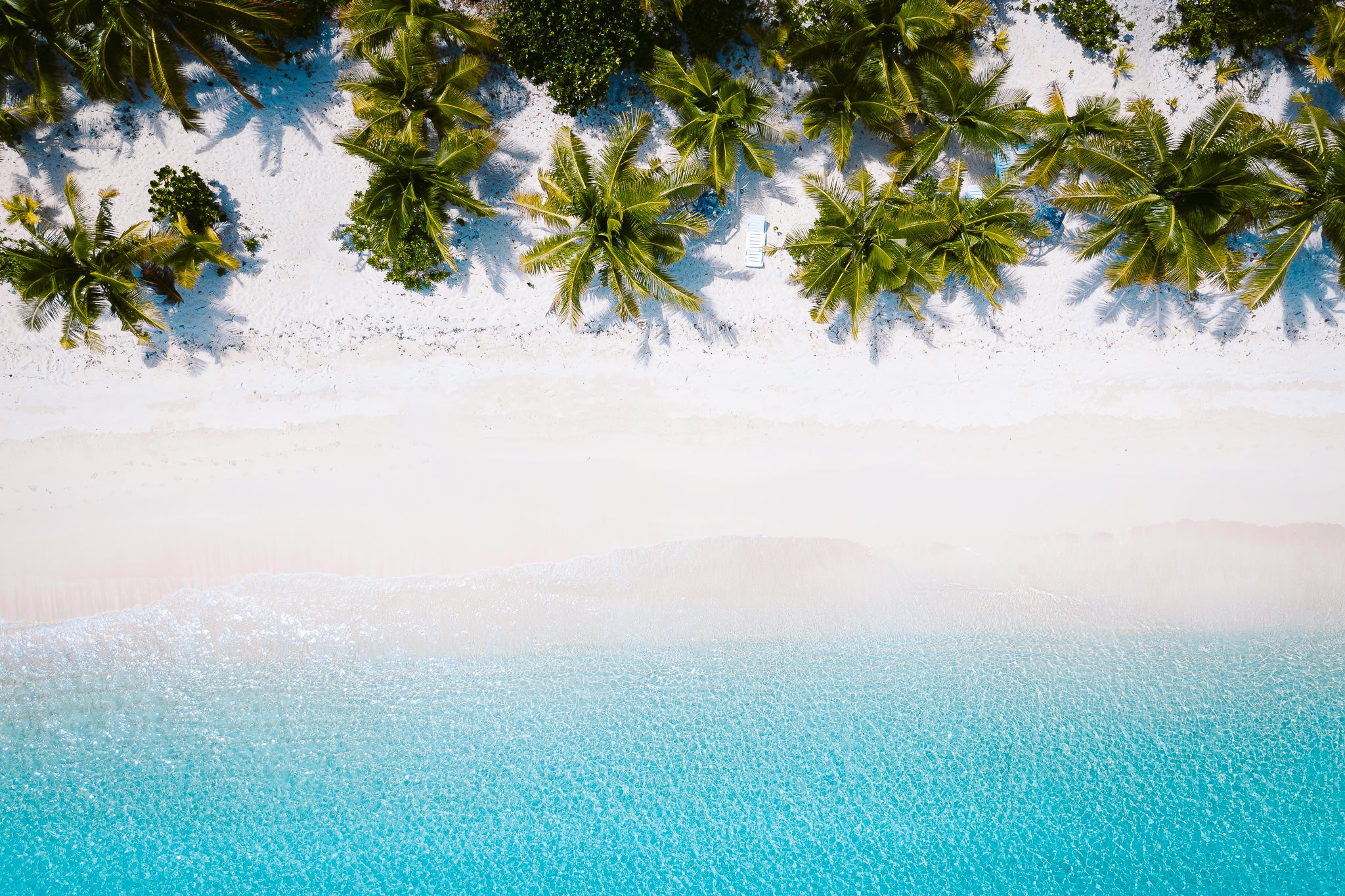 Tropical Dream