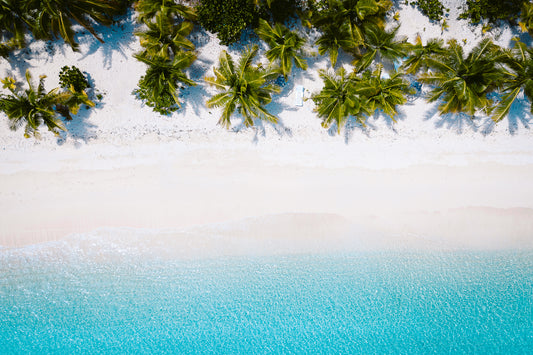 Tropical Dream