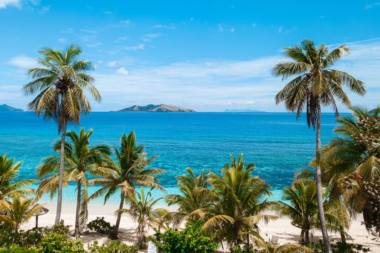 Mana Palms