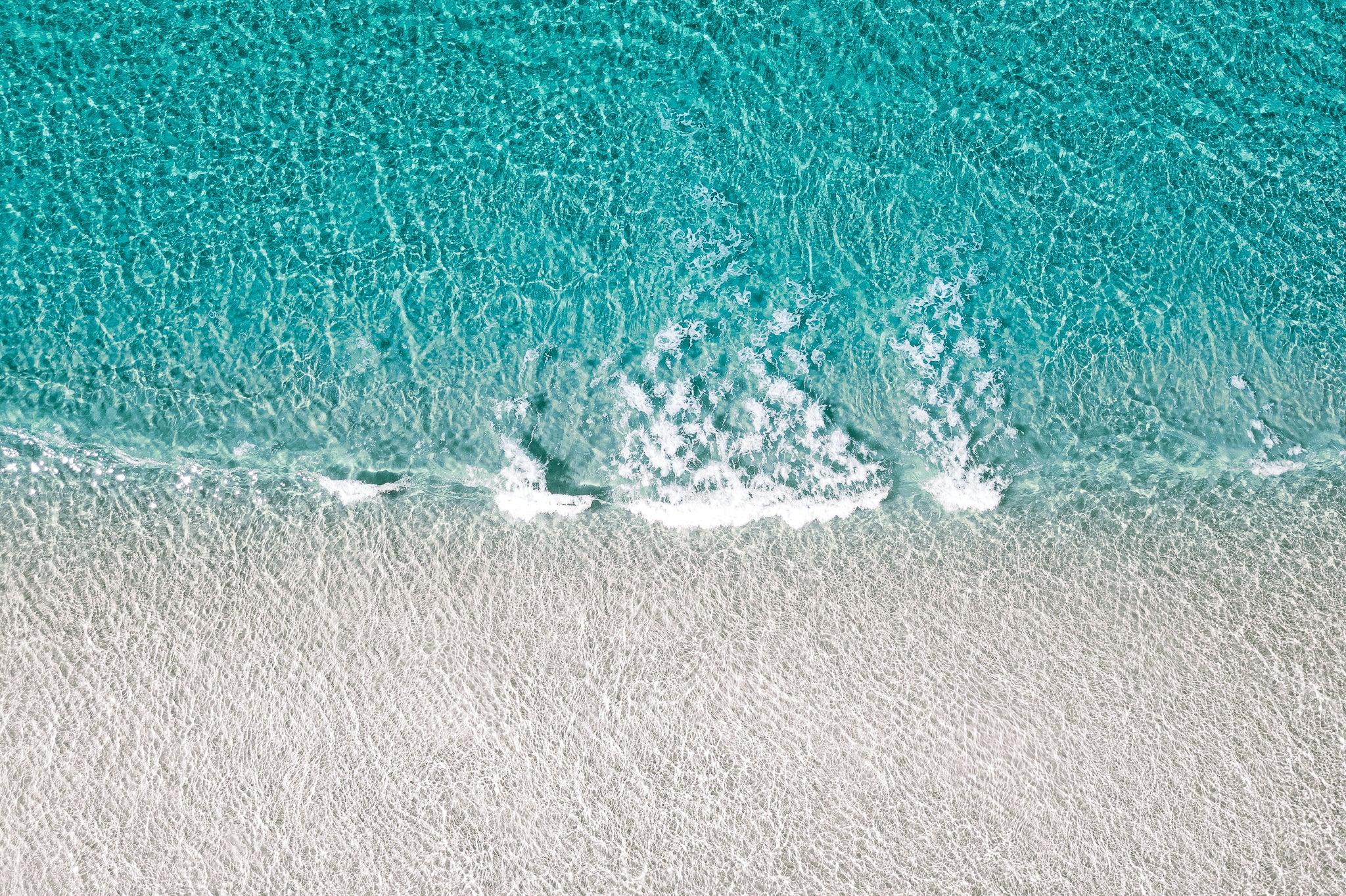 Sea & Shore