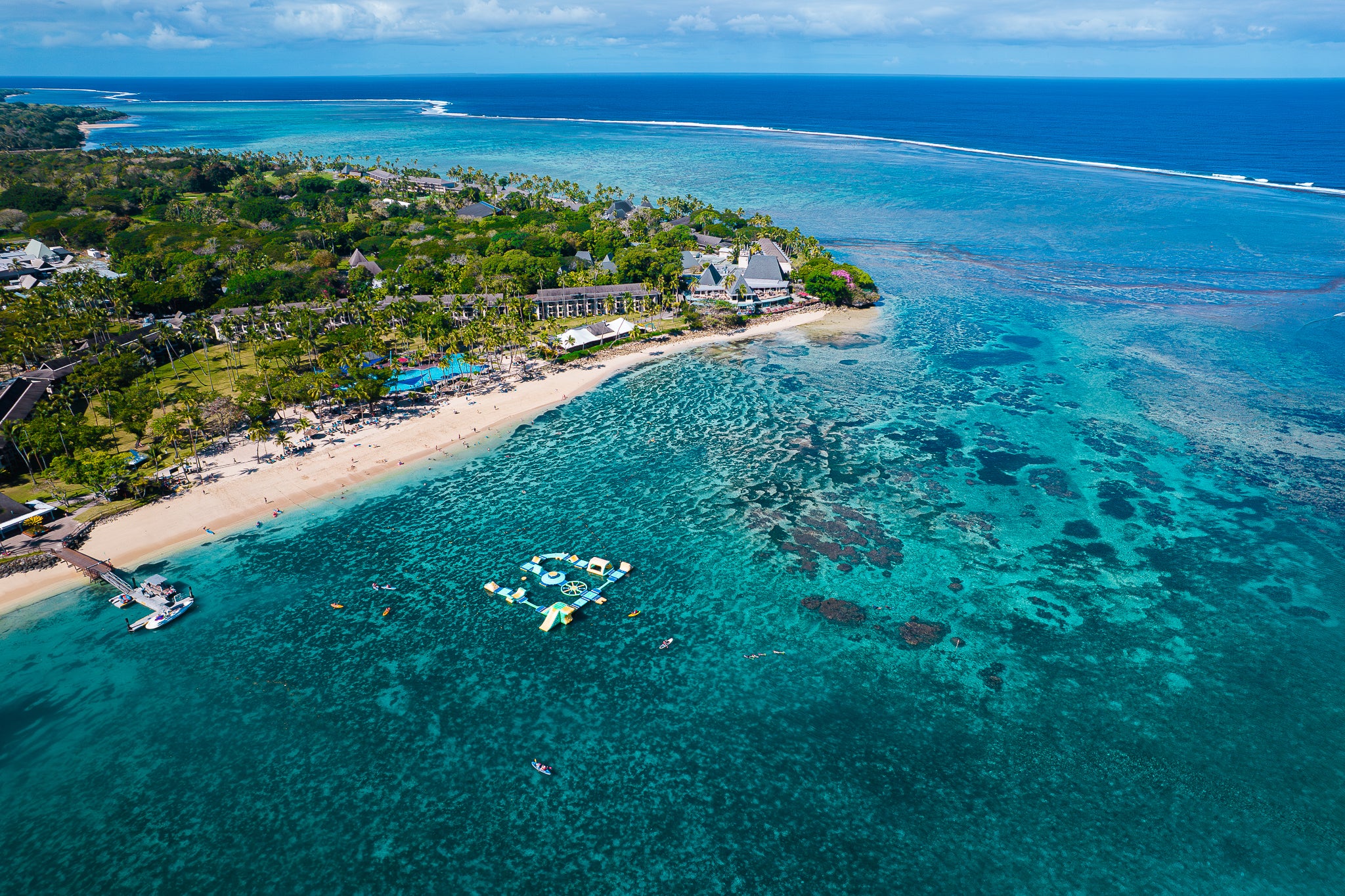 The Shang