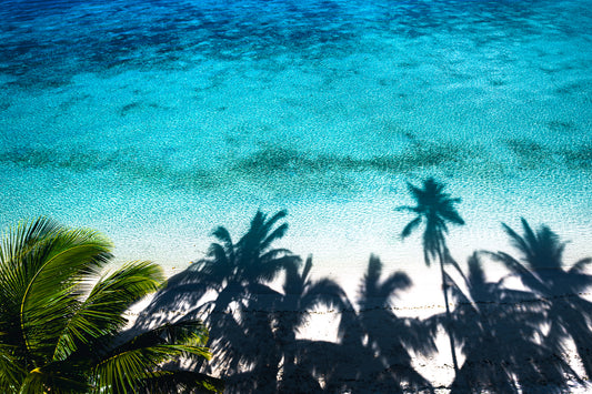 Swaying Palms