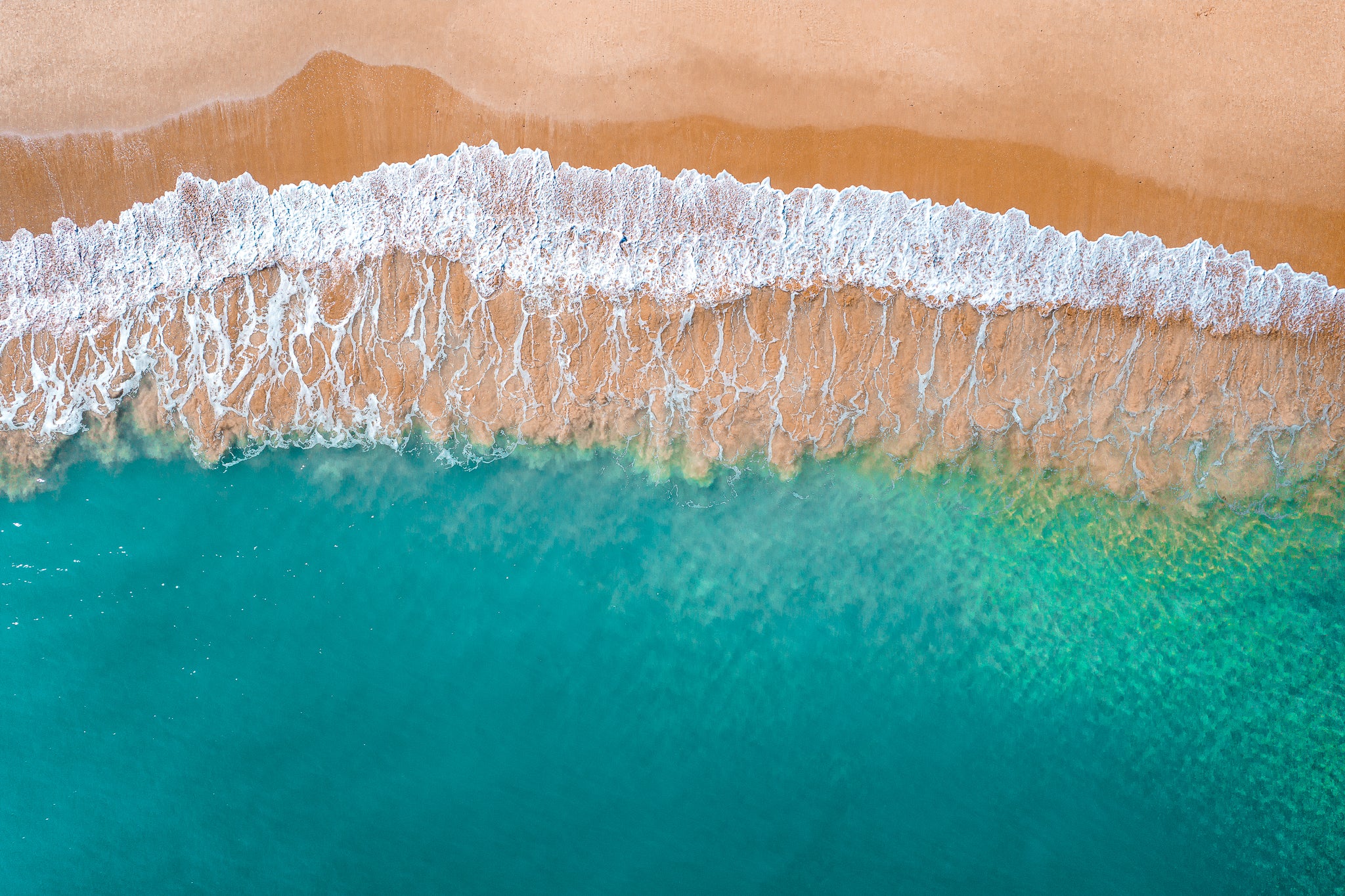 Lace Shore