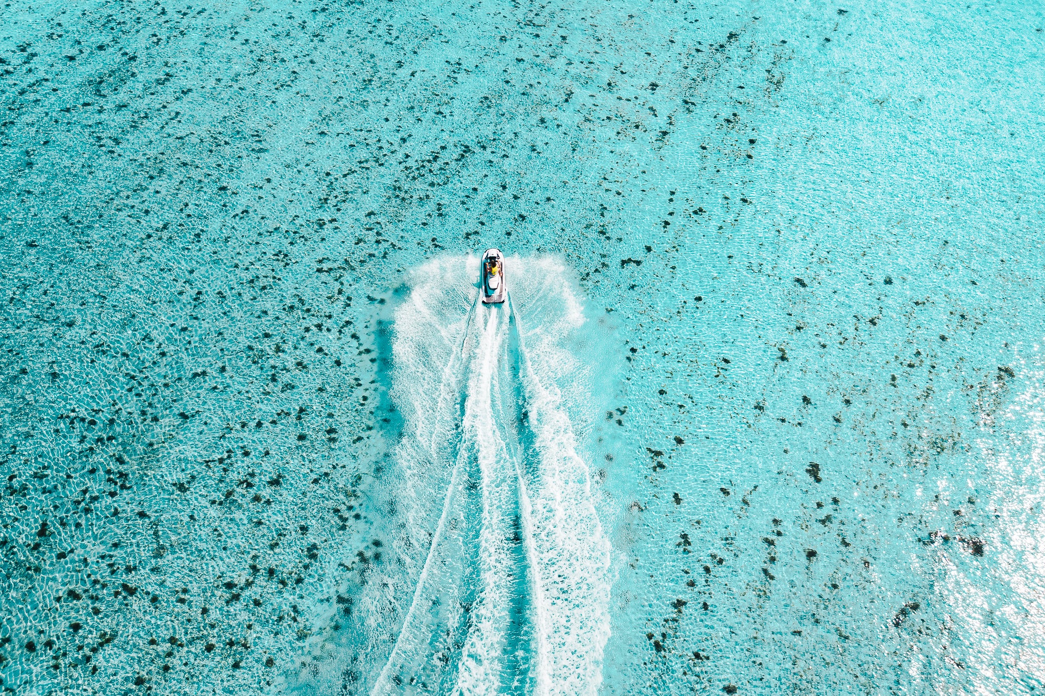 Trail Through Blue