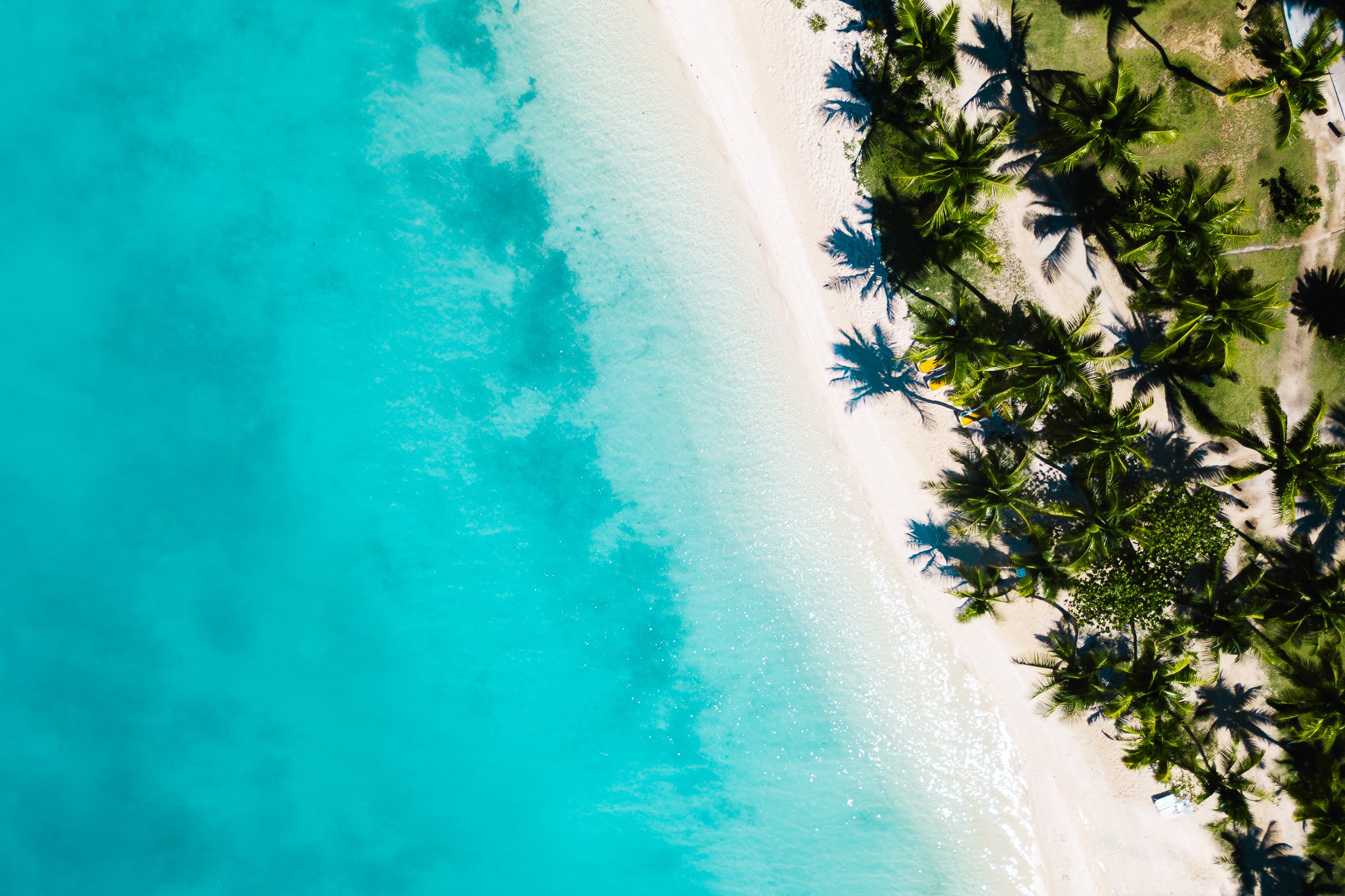 Wander In Paradise