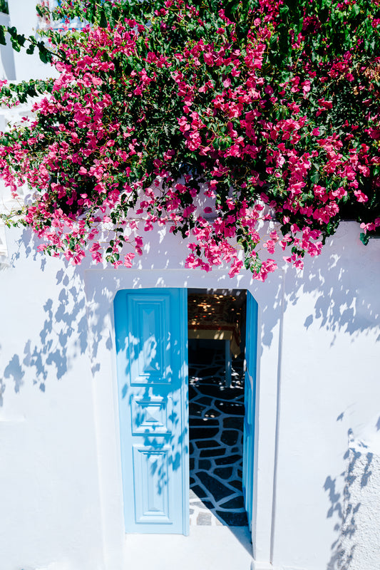 Bloom Doorway