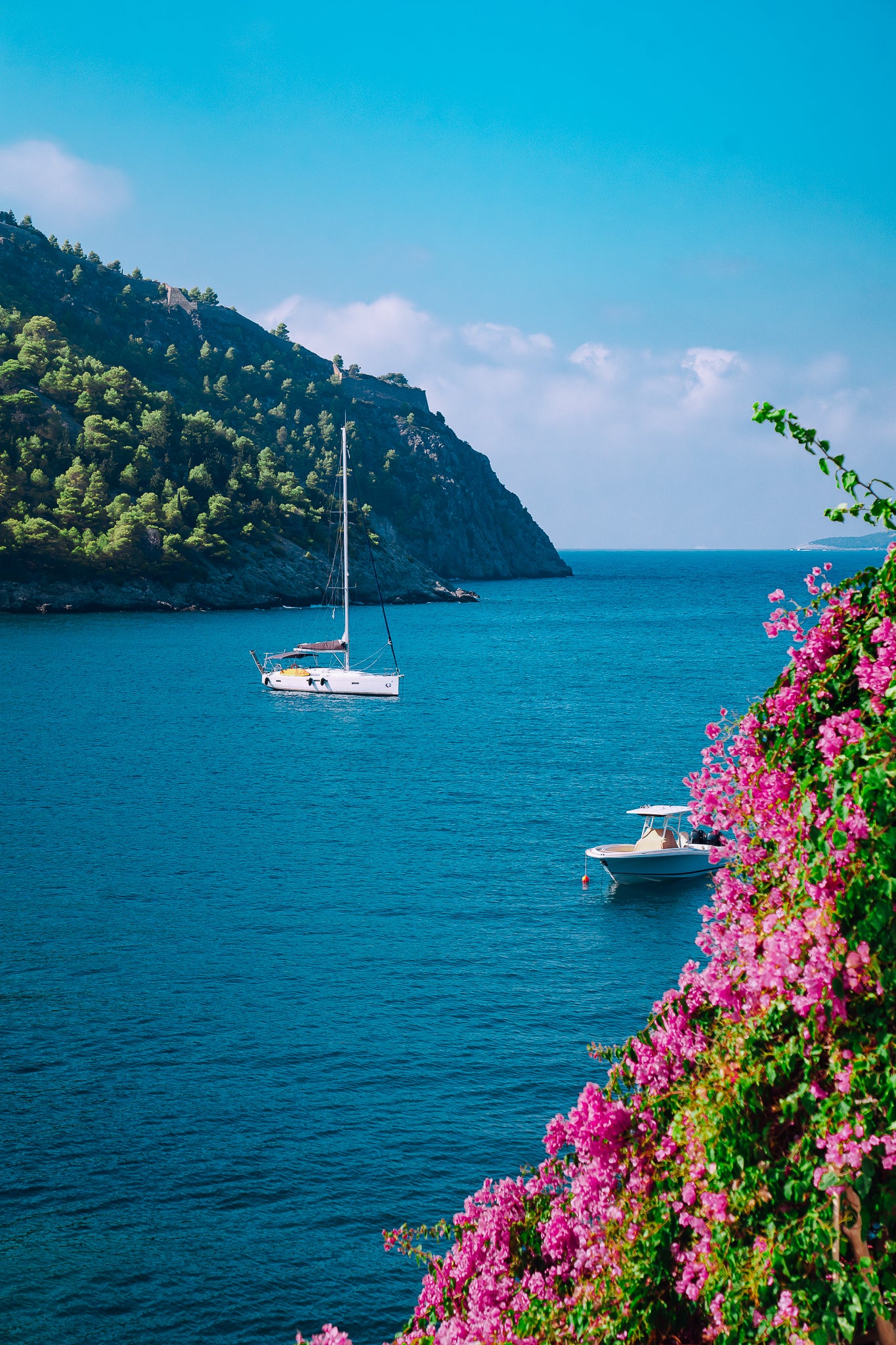 Harbour Bloom