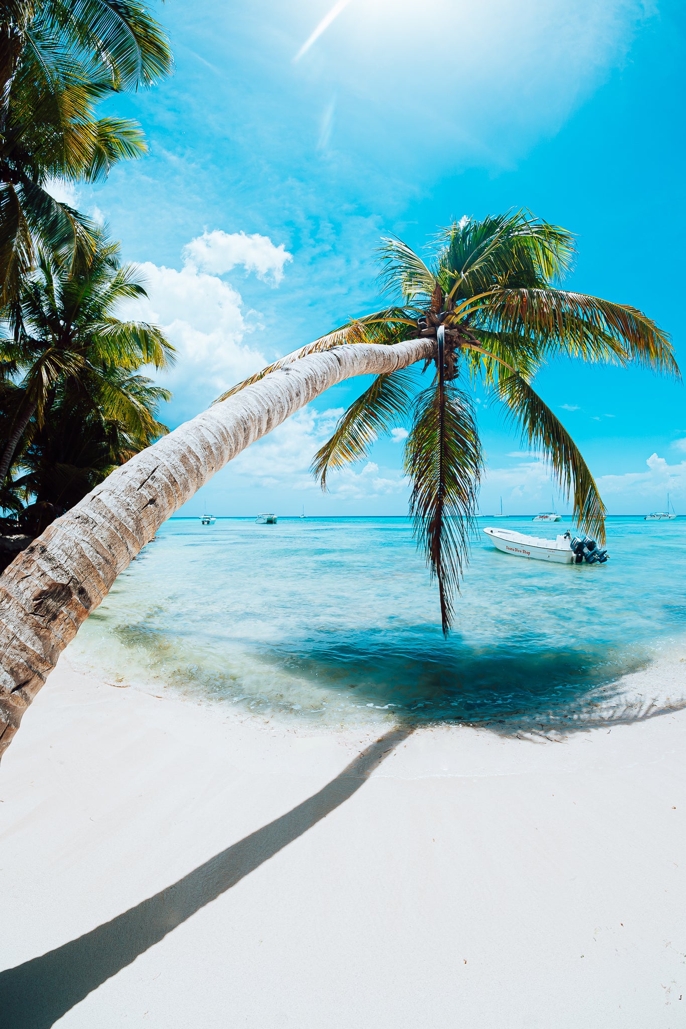 Paradiso