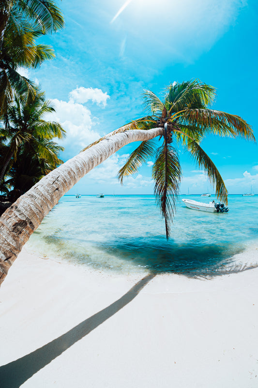 Paradiso