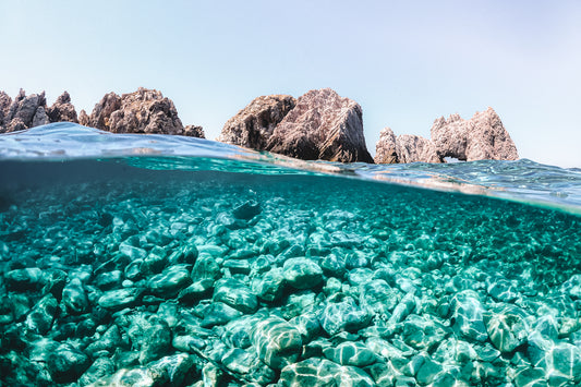 Glass Shore