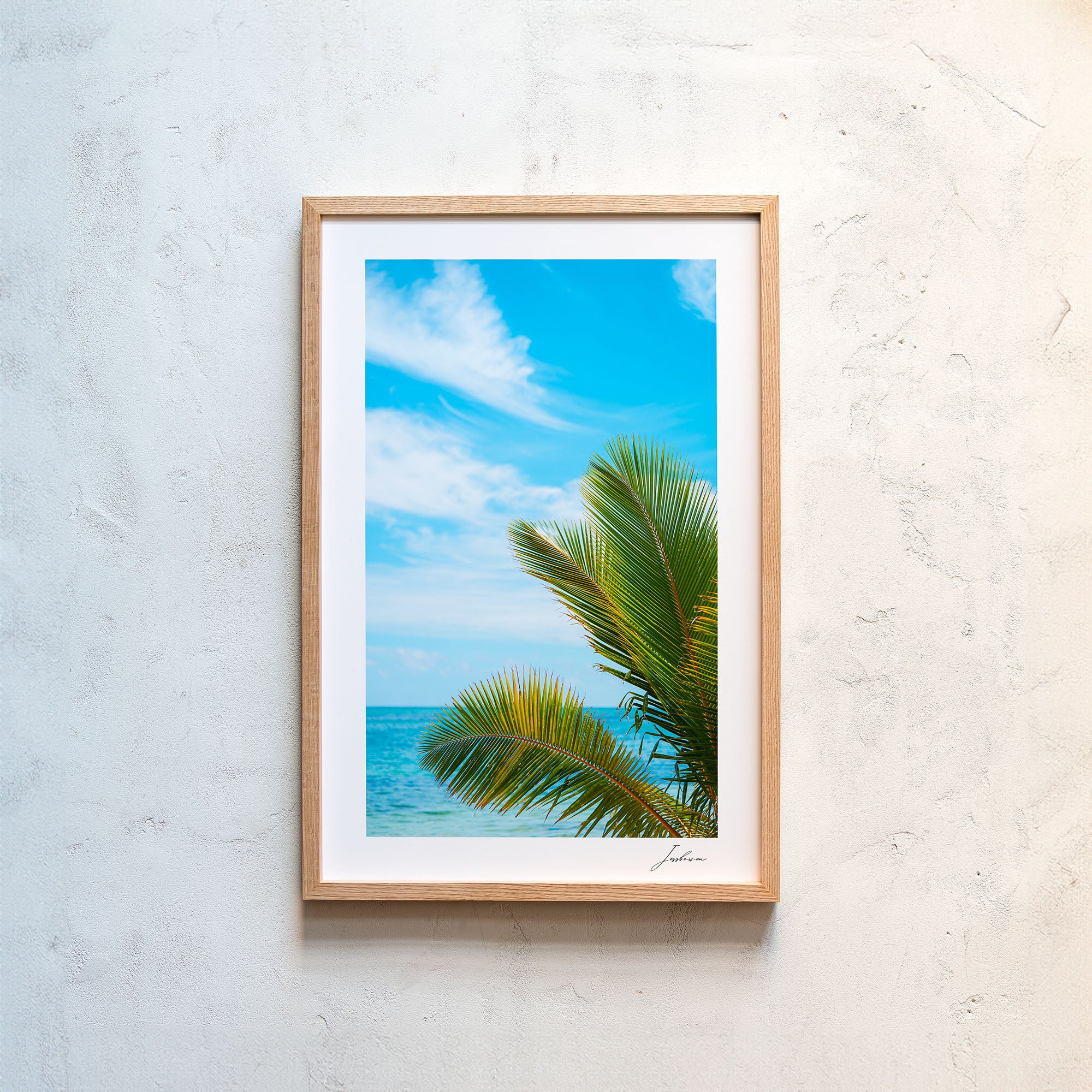 Paradise Palms
