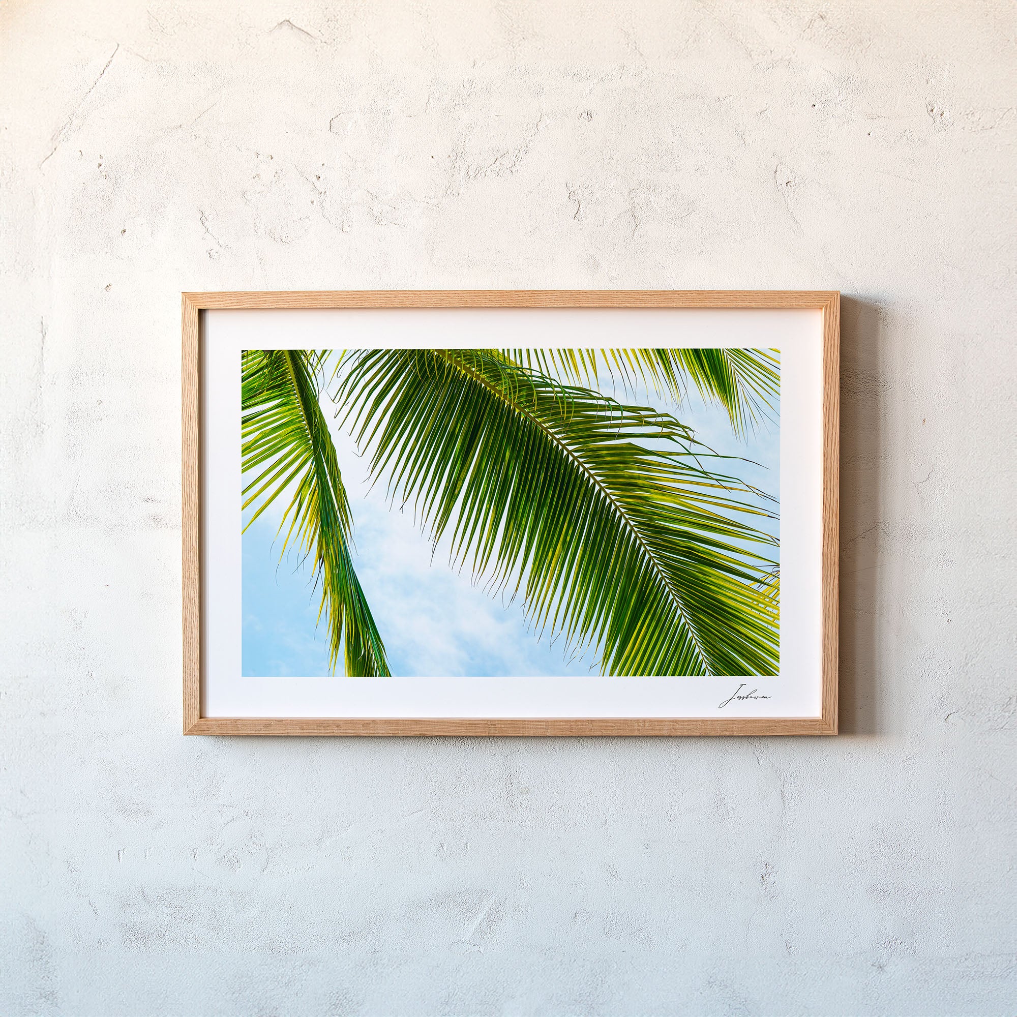 Safe Under The Palms