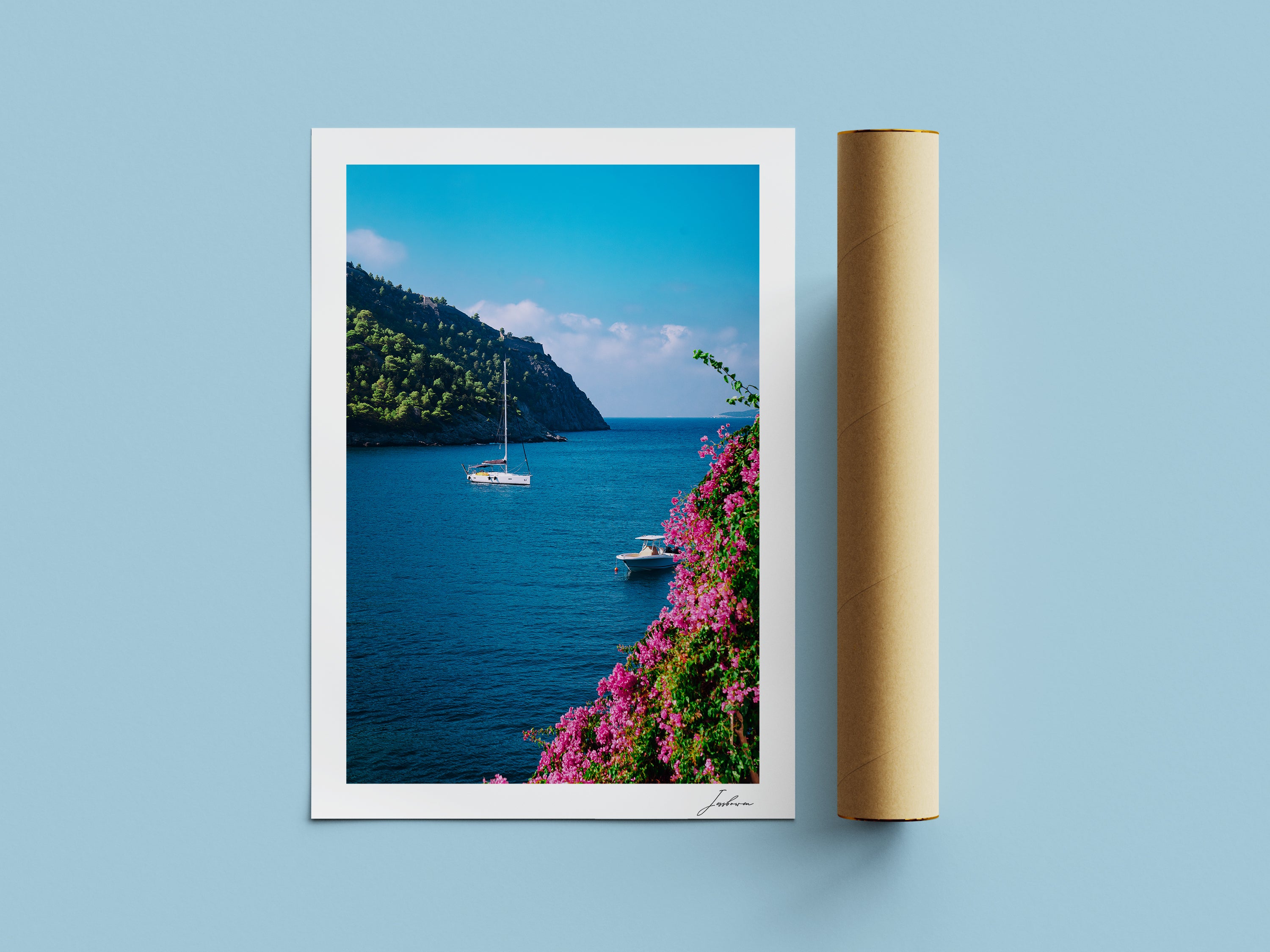 Harbour Bloom