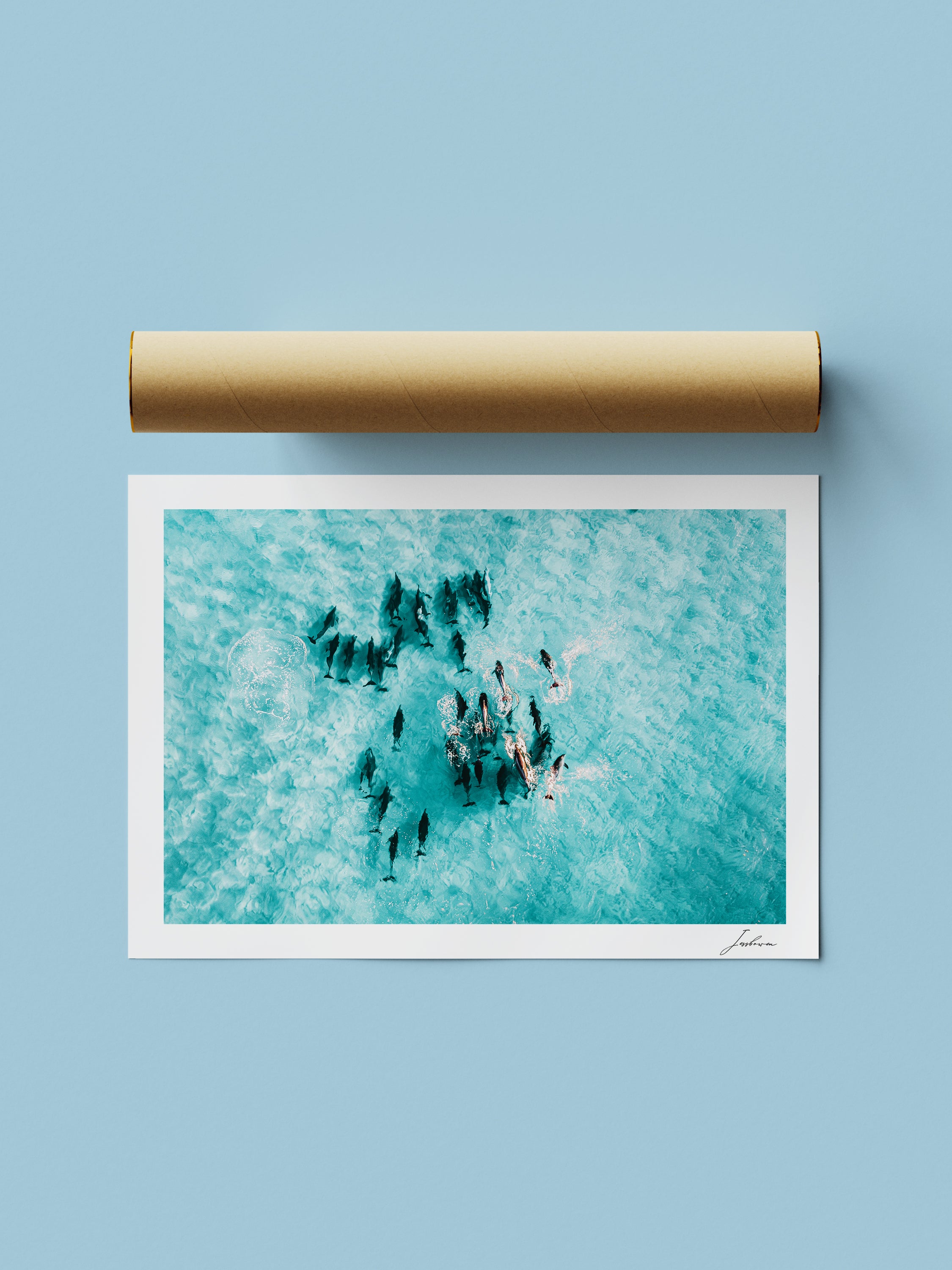 Ocean Ballet