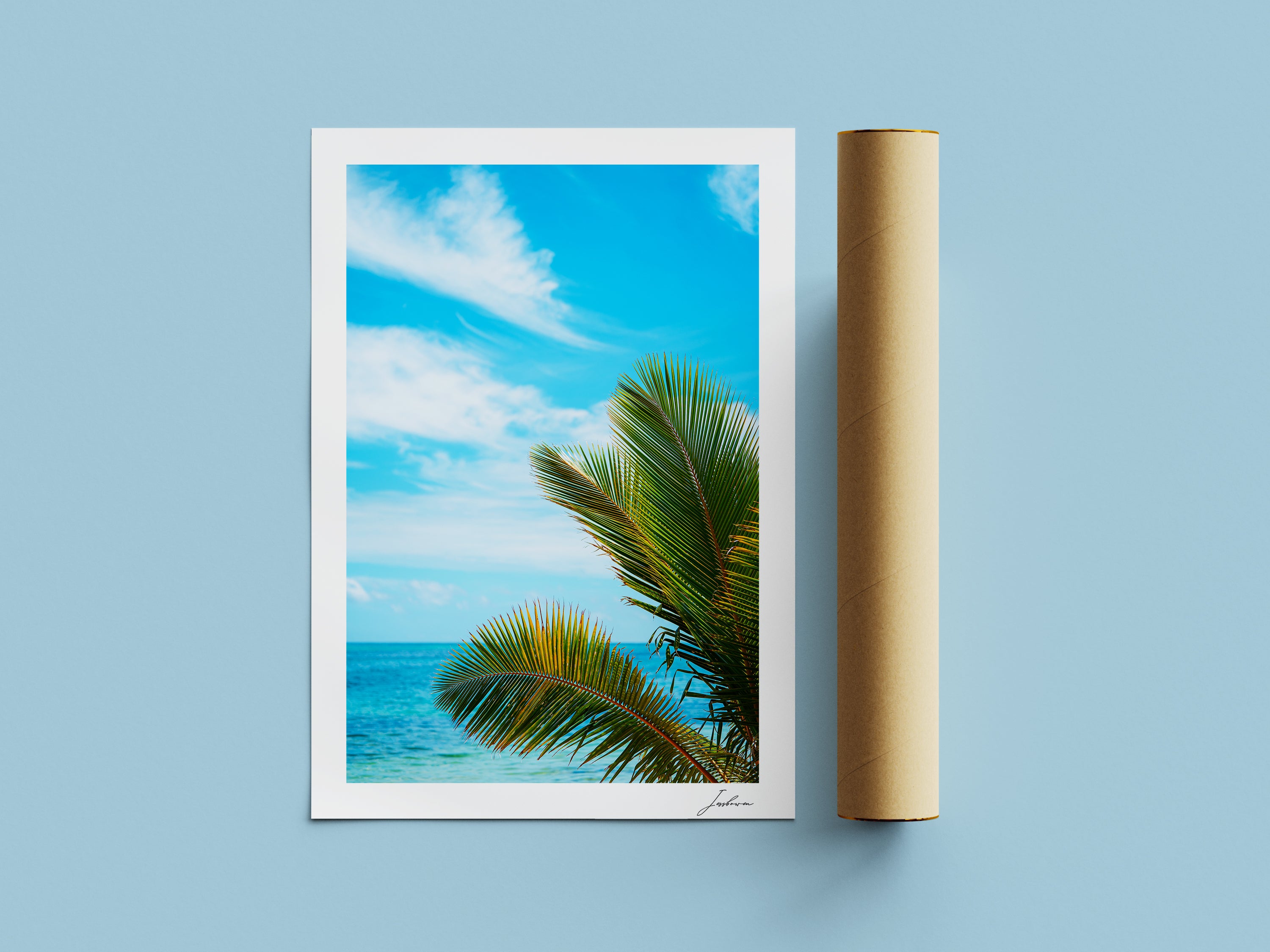 Paradise Palms