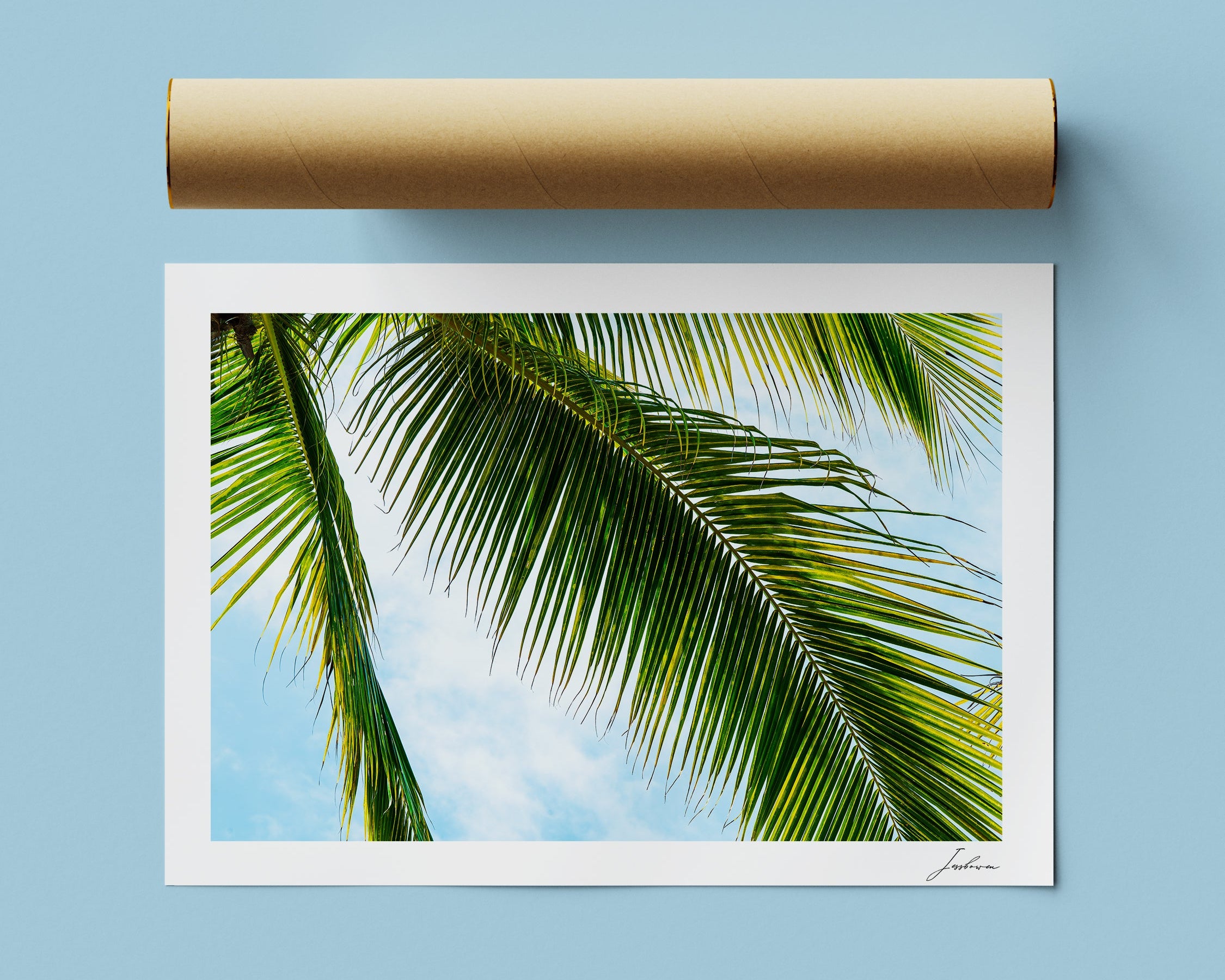 Safe Under The Palms